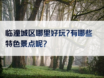 临潼城区哪里好玩？有哪些特色景点呢？