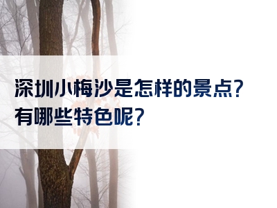 深圳小梅沙是怎样的景点？有哪些特色呢？
