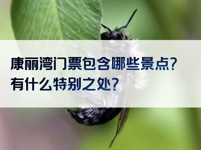 康丽湾门票包含哪些景点？有什么特别之处？