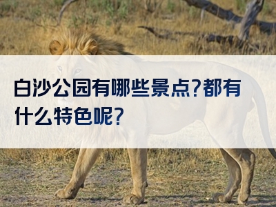 白沙公园有哪些景点？都有什么特色呢？