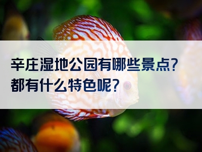 辛庄湿地公园有哪些景点？都有什么特色呢？