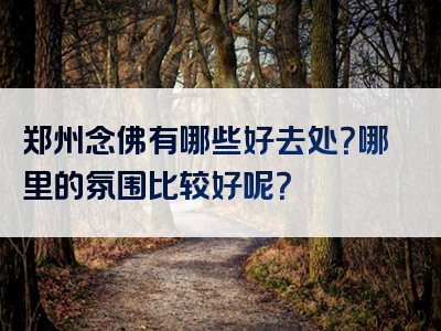 郑州念佛有哪些好去处？哪里的氛围比较好呢？