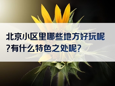 北京小区里哪些地方好玩呢？有什么特色之处呢？