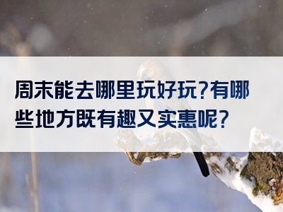 周末能去哪里玩好玩？有哪些地方既有趣又实惠呢？