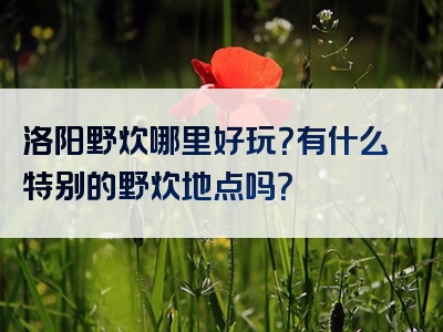 洛阳野炊哪里好玩？有什么特别的野炊地点吗？