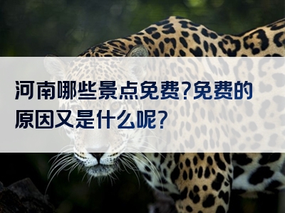 河南哪些景点免费？免费的原因又是什么呢？