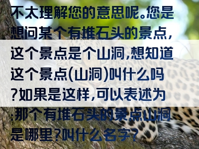 不太理解您的意思呢。您是想问某个有堆石头的景点，这个景点是个山洞，想知道这个景点（山洞）叫什么吗？如果是这样，可以表述为：那个有堆石头的景点山洞是哪里？叫什么名字？