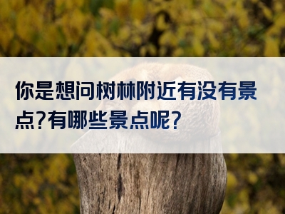 你是想问树林附近有没有景点？有哪些景点呢？