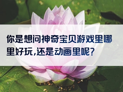 你是想问神奇宝贝游戏里哪里好玩，还是动画里呢？