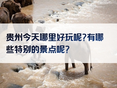 贵州今天哪里好玩呢？有哪些特别的景点呢？