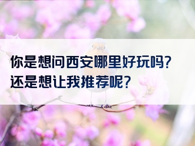 你是想问西安哪里好玩吗？还是想让我推荐呢？