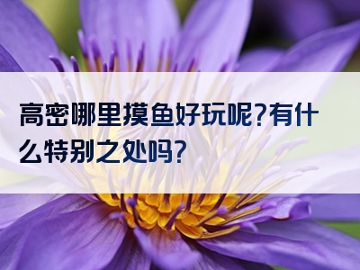 高密哪里摸鱼好玩呢？有什么特别之处吗？