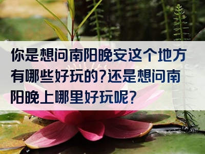 你是想问南阳晚安这个地方有哪些好玩的？还是想问南阳晚上哪里好玩呢？