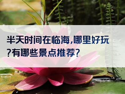 半天时间在临海，哪里好玩？有哪些景点推荐？