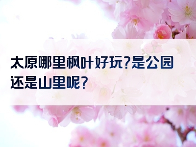 太原哪里枫叶好玩？是公园还是山里呢？