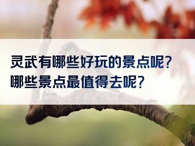 灵武有哪些好玩的景点呢？哪些景点最值得去呢？