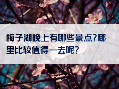 梅子湖晚上有哪些景点？哪里比较值得一去呢？