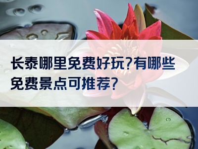 长泰哪里免费好玩？有哪些免费景点可推荐？