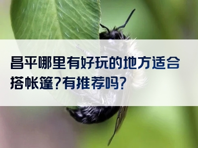 昌平哪里有好玩的地方适合搭帐篷？有推荐吗？