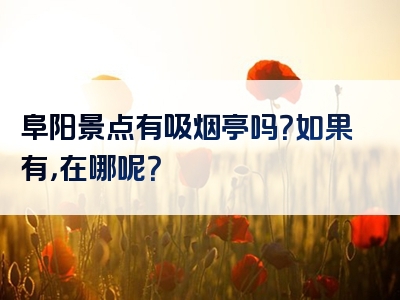 阜阳景点有吸烟亭吗？如果有，在哪呢？
