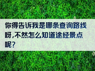 你得告诉我是哪条查询路线呀，不然怎么知道途经景点呢？