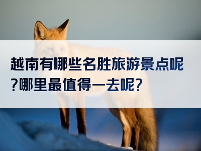 越南有哪些名胜旅游景点呢？哪里最值得一去呢？
