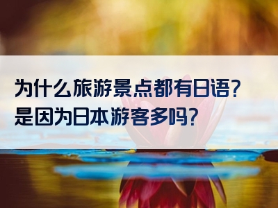 为什么旅游景点都有日语？是因为日本游客多吗？