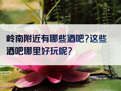岭南附近有哪些酒吧？这些酒吧哪里好玩呢？