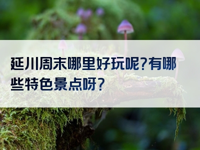 延川周末哪里好玩呢？有哪些特色景点呀？