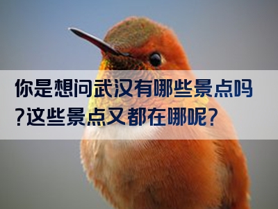 你是想问武汉有哪些景点吗？这些景点又都在哪呢？