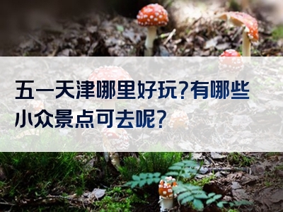 五一天津哪里好玩？有哪些小众景点可去呢？