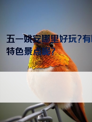 五一姚安哪里好玩？有哪些特色景点呢？