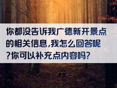 你都没告诉我广德新开景点的相关信息，我怎么回答呢？你可以补充点内容吗？