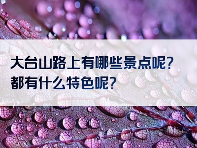 大台山路上有哪些景点呢？都有什么特色呢？