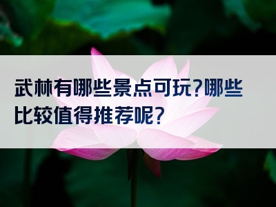武林有哪些景点可玩？哪些比较值得推荐呢？