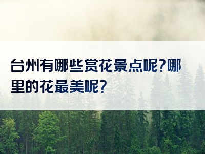 台州有哪些赏花景点呢？哪里的花最美呢？