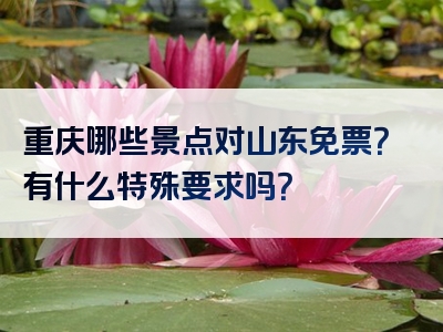 重庆哪些景点对山东免票？有什么特殊要求吗？