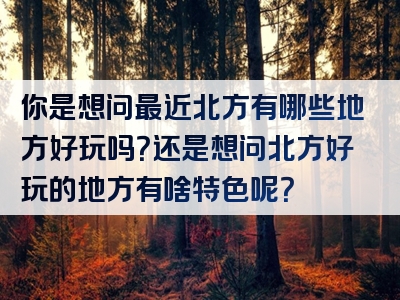 你是想问最近北方有哪些地方好玩吗？还是想问北方好玩的地方有啥特色呢？