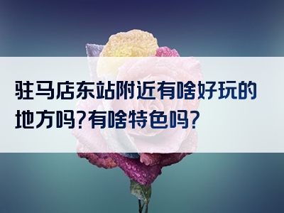 驻马店东站附近有啥好玩的地方吗？有啥特色吗？