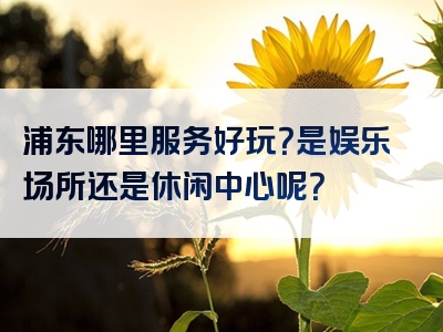 浦东哪里服务好玩？是娱乐场所还是休闲中心呢？