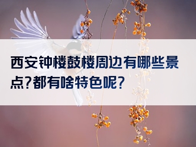 西安钟楼鼓楼周边有哪些景点？都有啥特色呢？