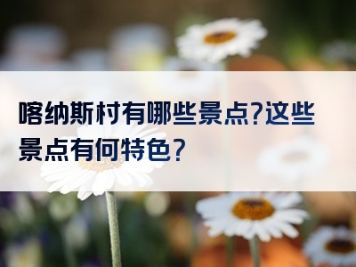 喀纳斯村有哪些景点？这些景点有何特色？