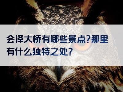 会泽大桥有哪些景点？那里有什么独特之处？