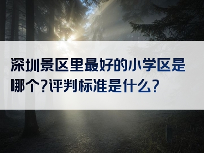 深圳景区里最好的小学区是哪个？评判标准是什么？