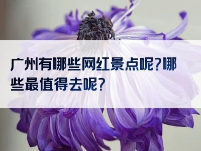 广州有哪些网红景点呢？哪些最值得去呢？