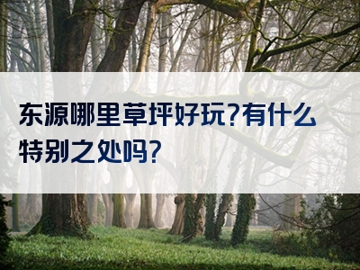 东源哪里草坪好玩？有什么特别之处吗？