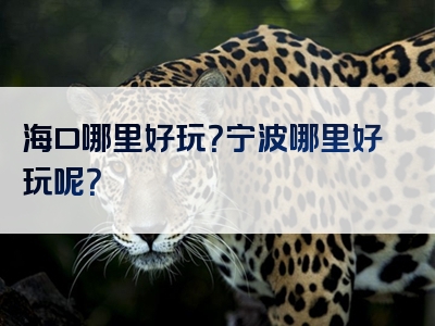 海口哪里好玩？宁波哪里好玩呢？