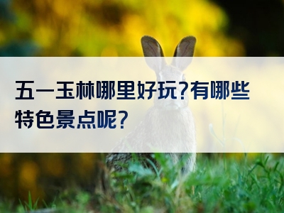 五一玉林哪里好玩？有哪些特色景点呢？