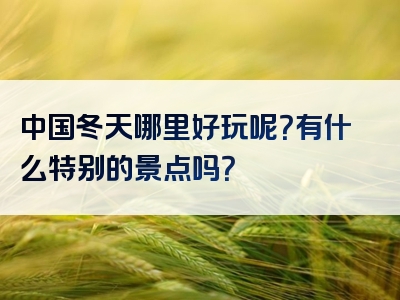 中国冬天哪里好玩呢？有什么特别的景点吗？
