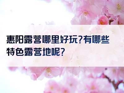 惠阳露营哪里好玩？有哪些特色露营地呢？